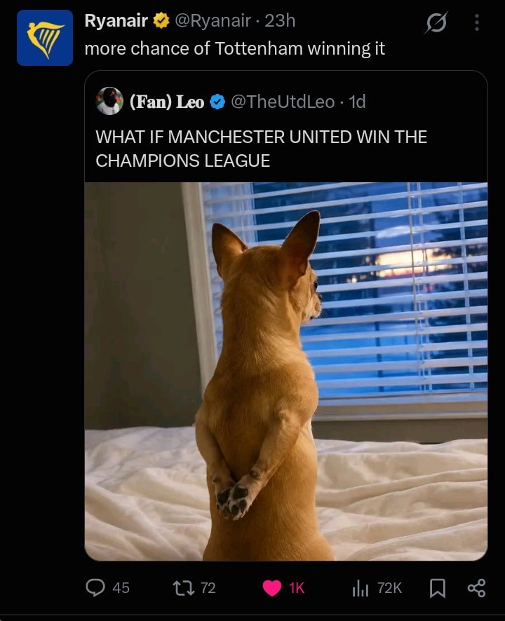 Tottenham fan reaction