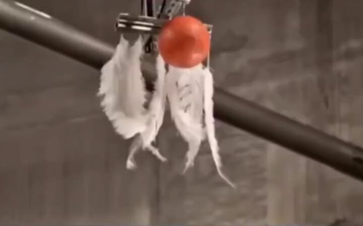 bowling balls and feathers in a vacuum