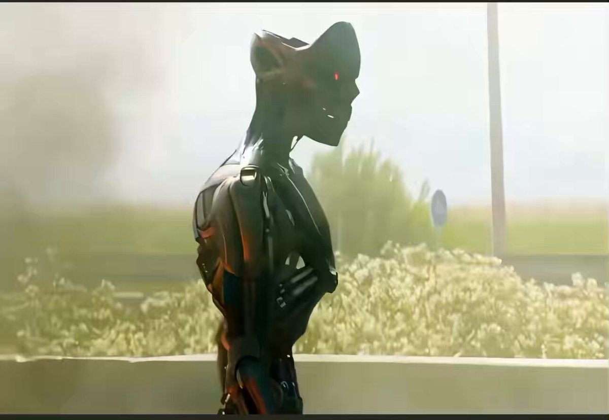 Skynet 2029 scenario