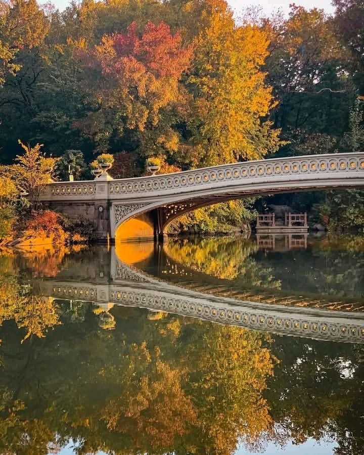 Central Park autumn New York (photo 4 of 4)