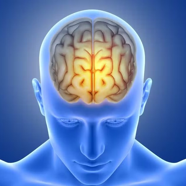 Study: Inactivity good for brain