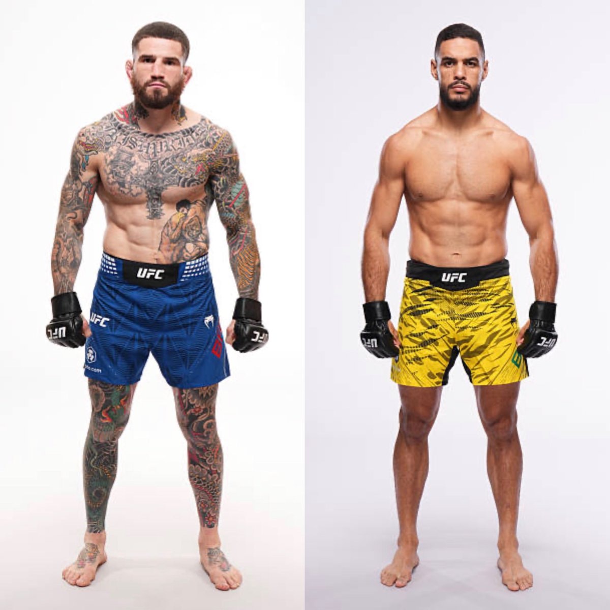 Sean Brady vs Gabriel Bonfim