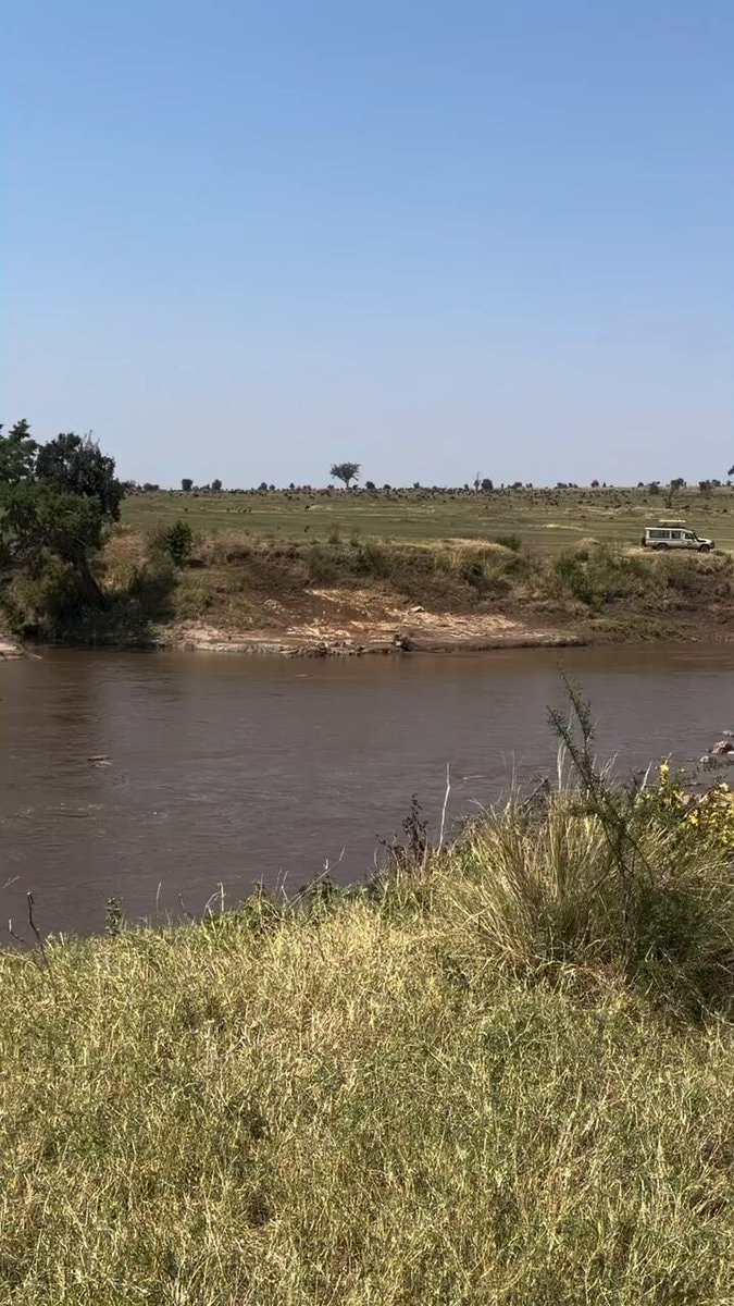 Muddy river in the savanna
