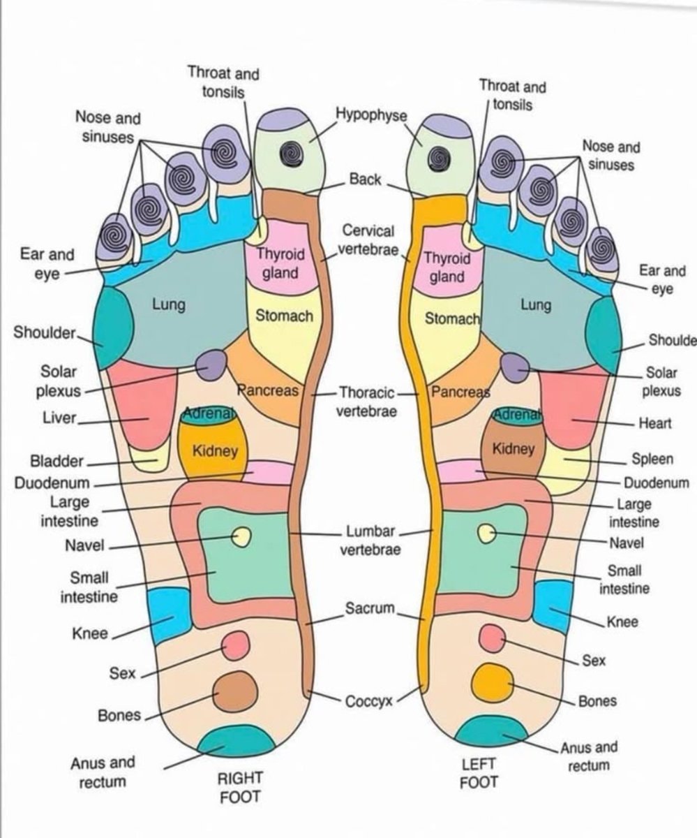 Foot Reflexology Map Foot Reflexology Map
