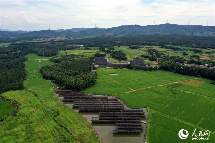 Jifu Village Jiangxi rice fields (photo 3 of 4)