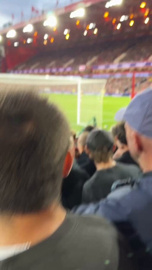 Arsenal fans celebrate Madueke winner