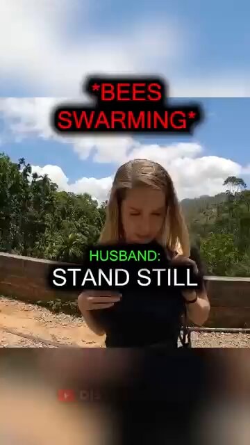 Bee swarm panic justified moment