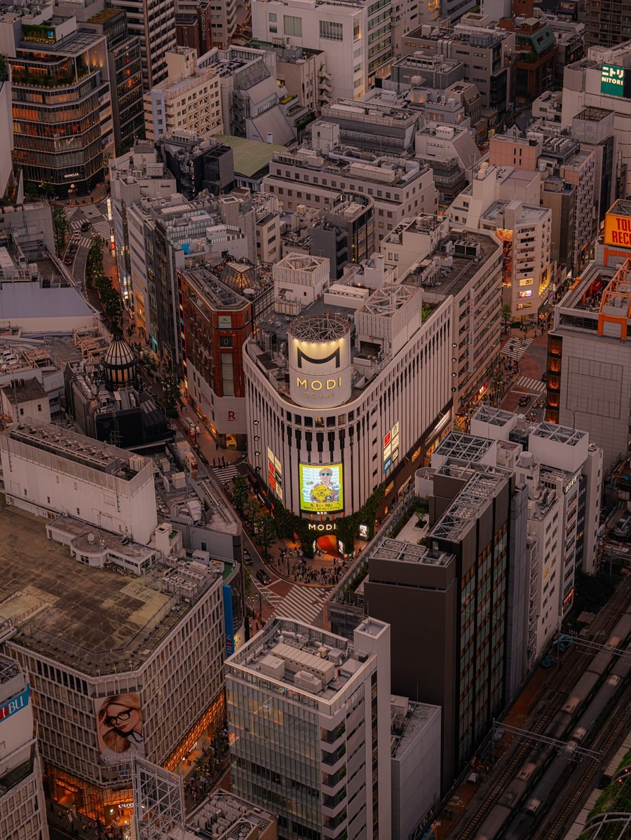 Shibuya Japan sunset park (photo 2 of 4)