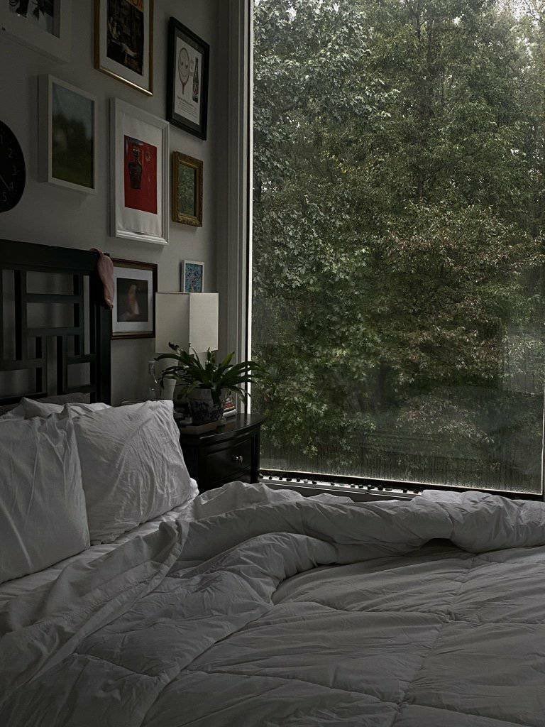 rainy suburban street (photo 4 of 4)