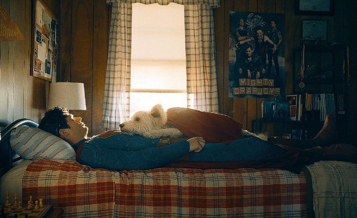 man napping with dog in red cape