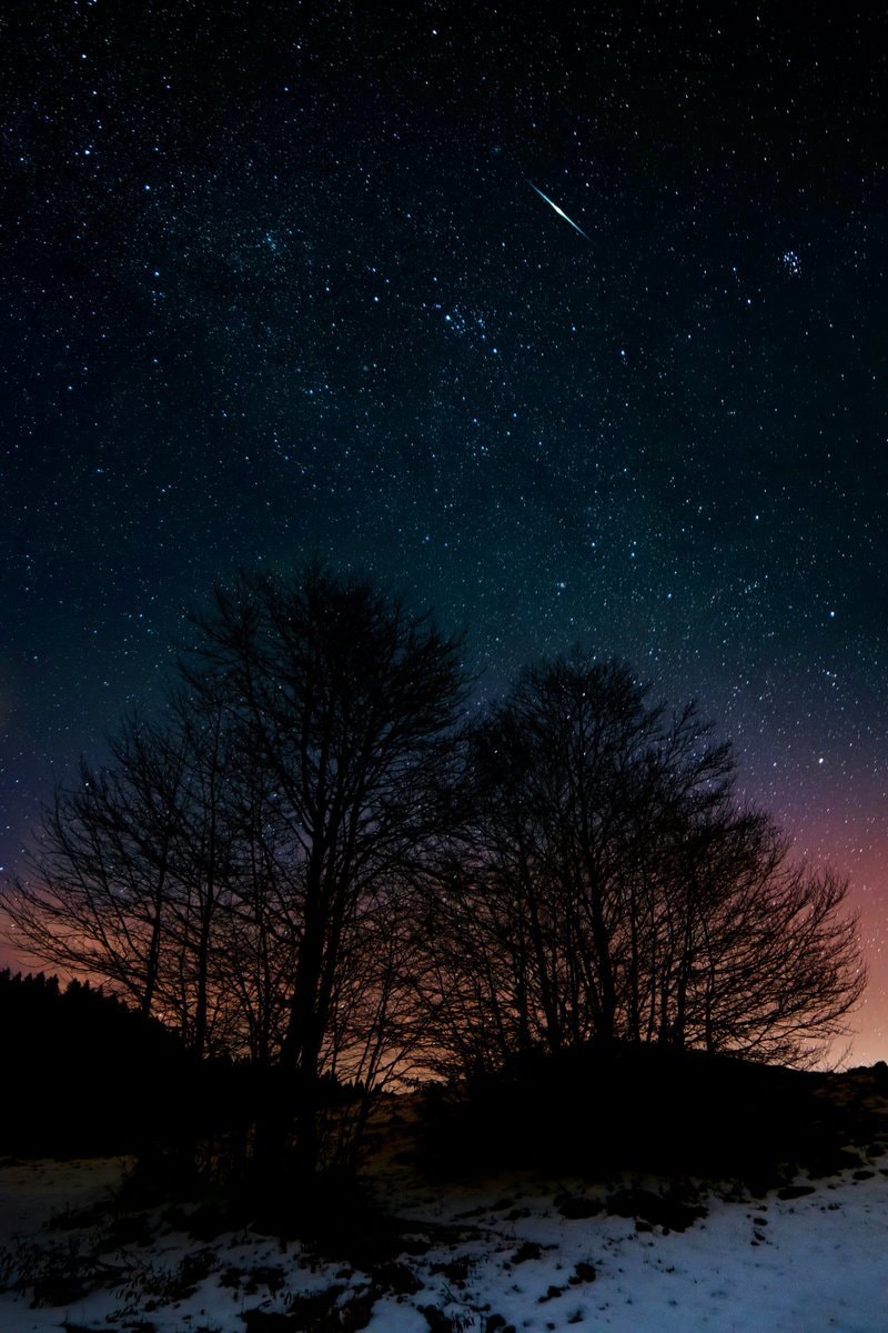 starry night sky over forest starry night sky over forest