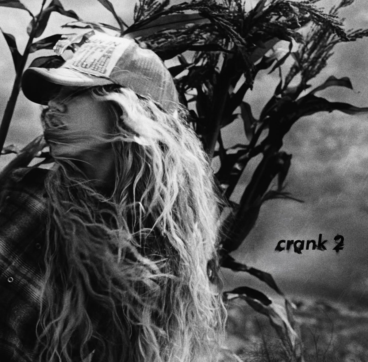 Slayyyter crank 2 release