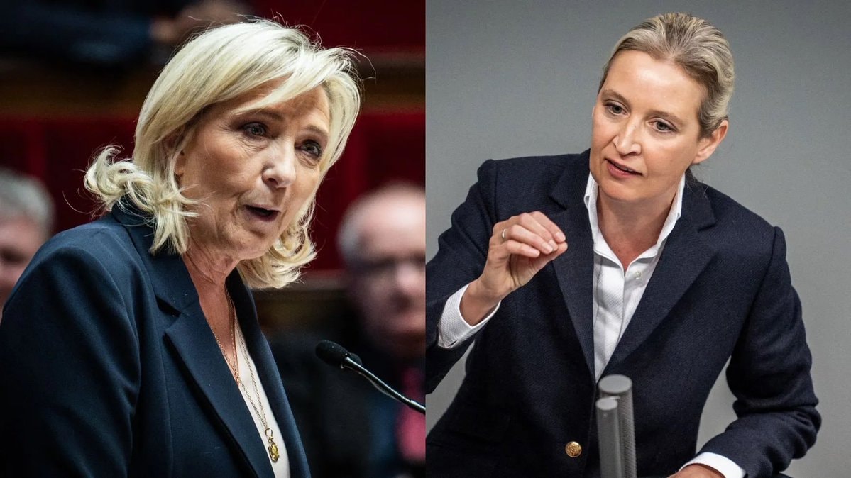 Marine Le Pen AfD polling records