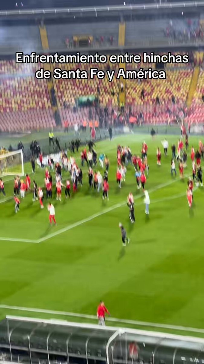 Santa Fe vs América de Cali pitch invasion