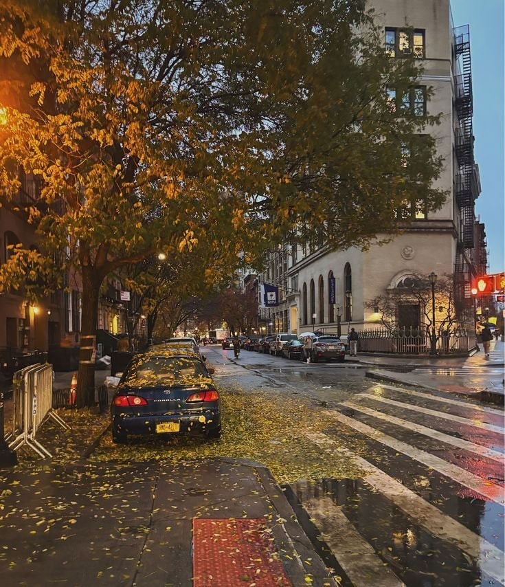 New York City street scene
