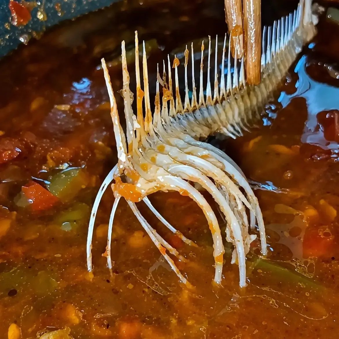 fish skeleton in broth (photo 1 of 2)