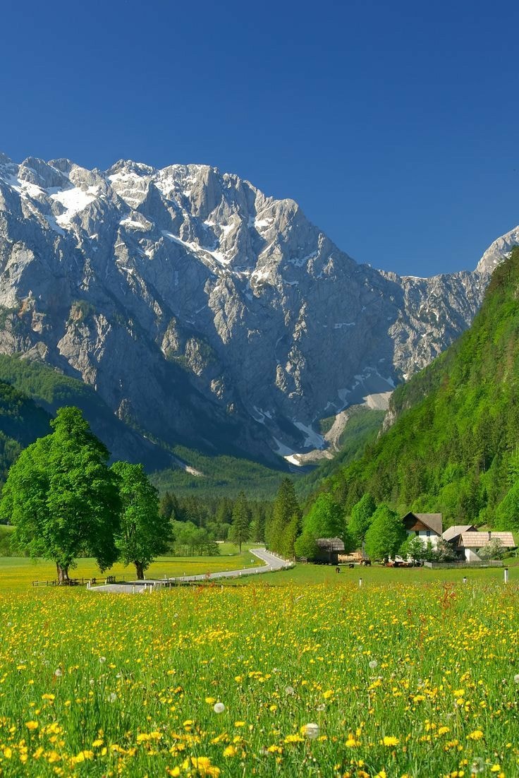 Switzerland countryside (photo 4 of 4)
