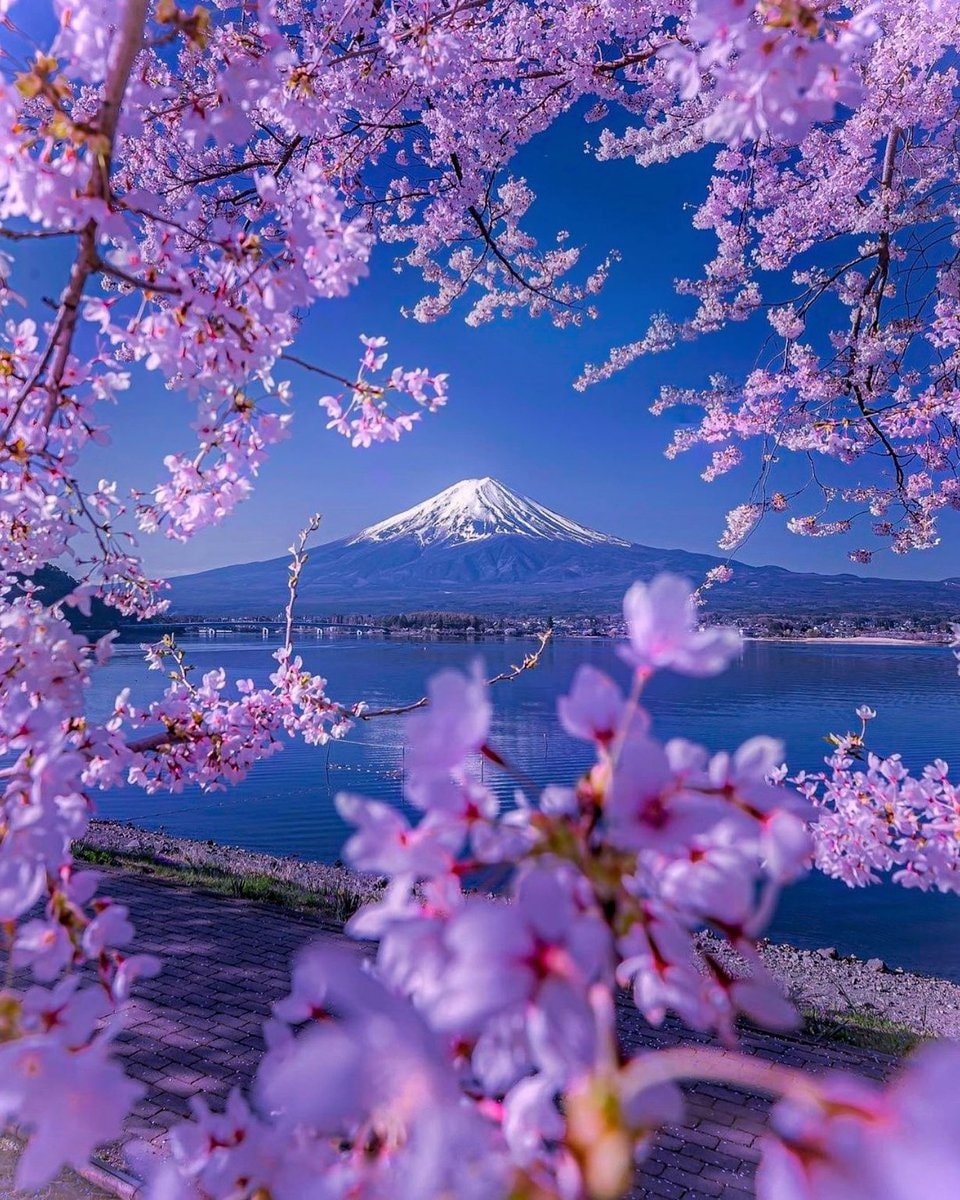 Mount Fuji Japan
