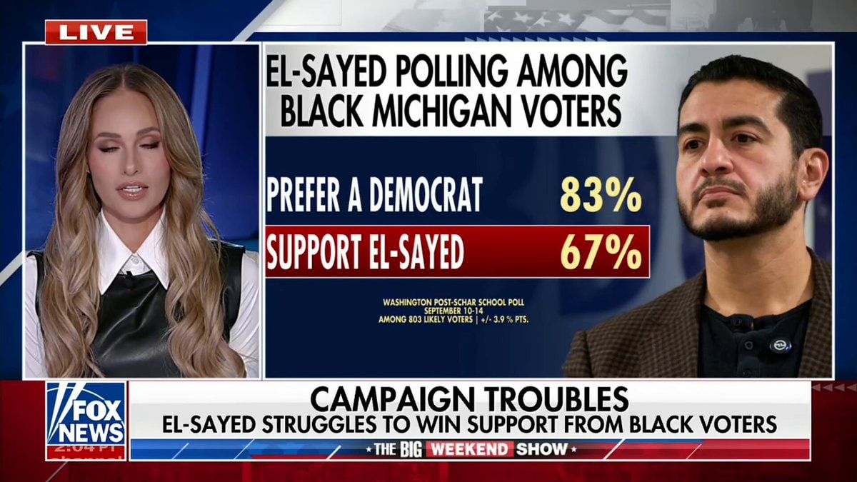 Abdul El Sayed polling struggles