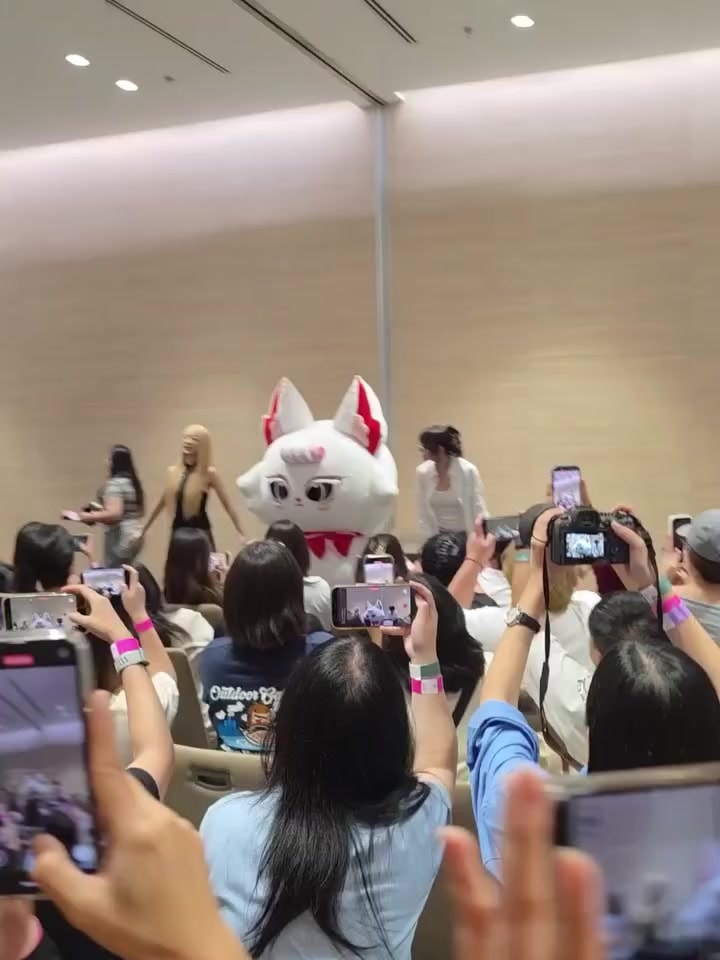 White cat mascot on stage
