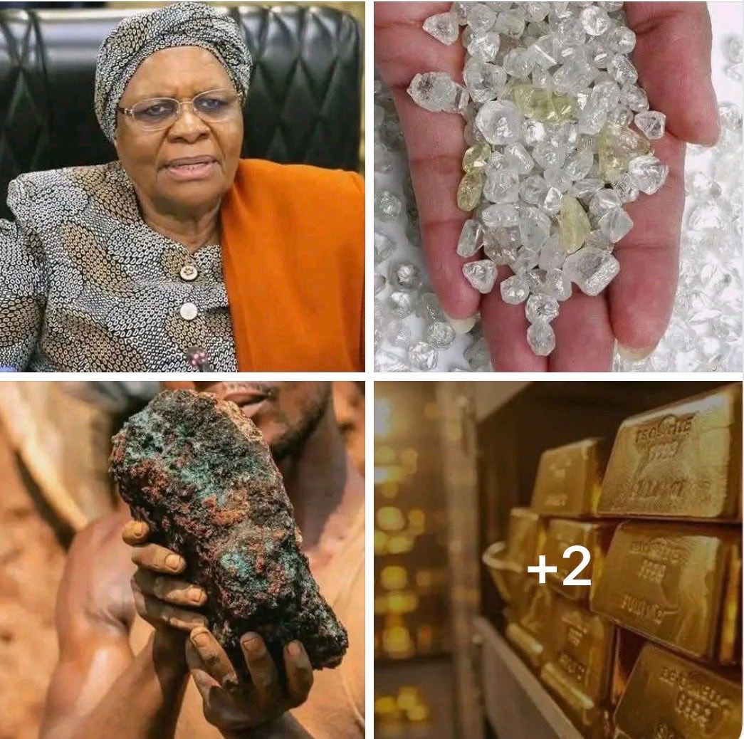 Netumbo Nandi-Ndaitwah on Africa's resources