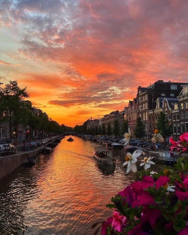 Amsterdam canal sunset (photo 2 of 4)