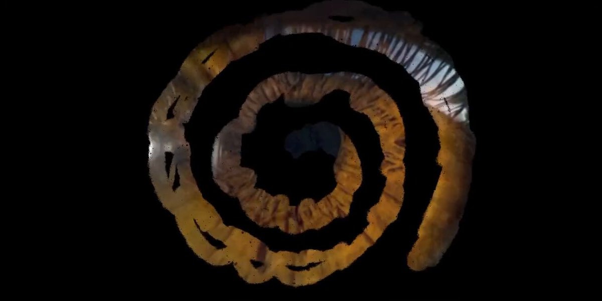 tiger stripe spiral pattern