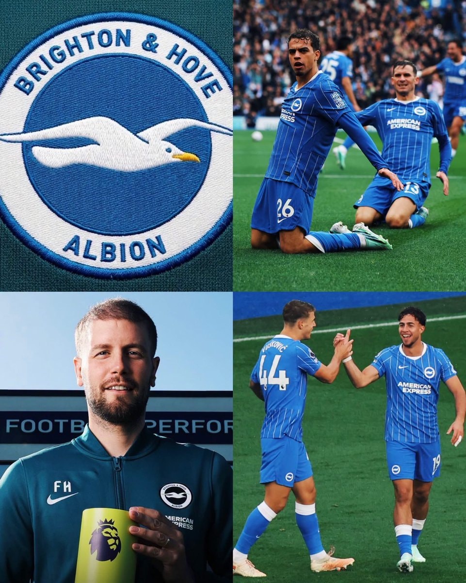 Brighton & Hove Albion stats under Fabián Hürzeler