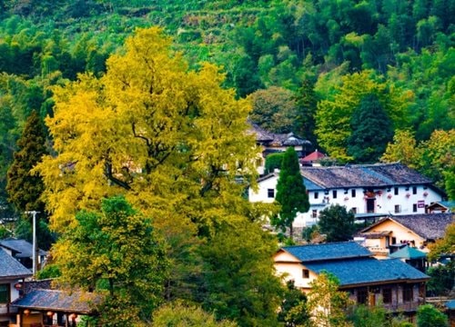Nanre Ancient Village Mingyue Mountain (photo 3 of 4)