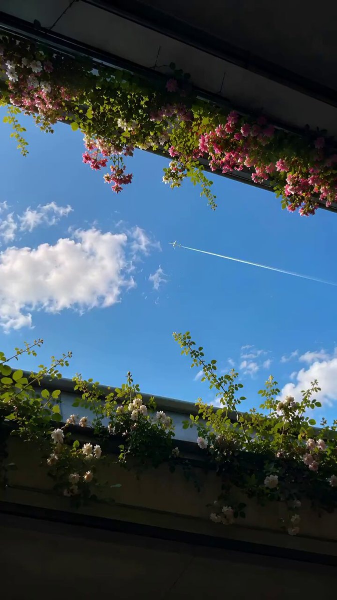 blue sky and airplane contrail