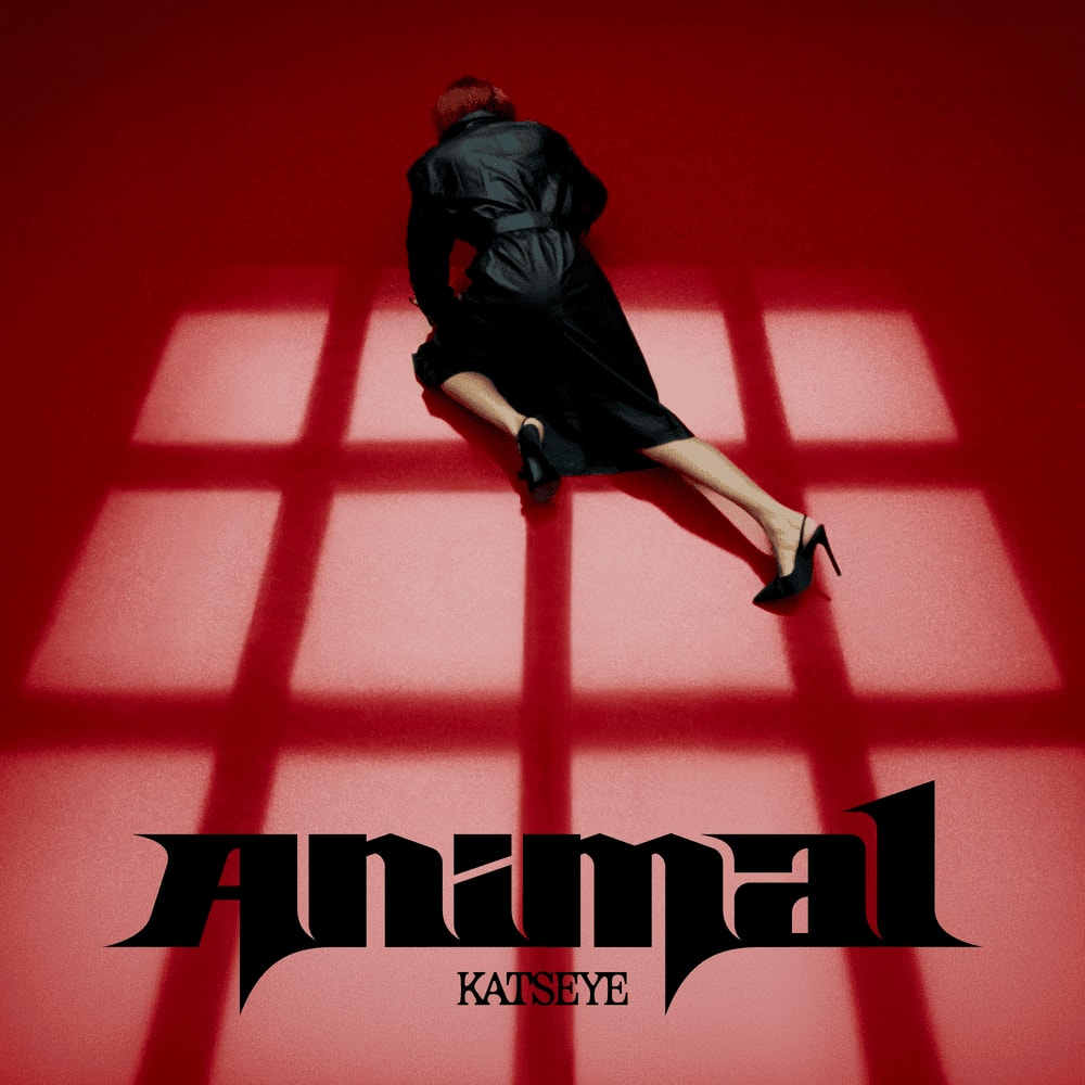 KATSEYE Animal top 10 debut