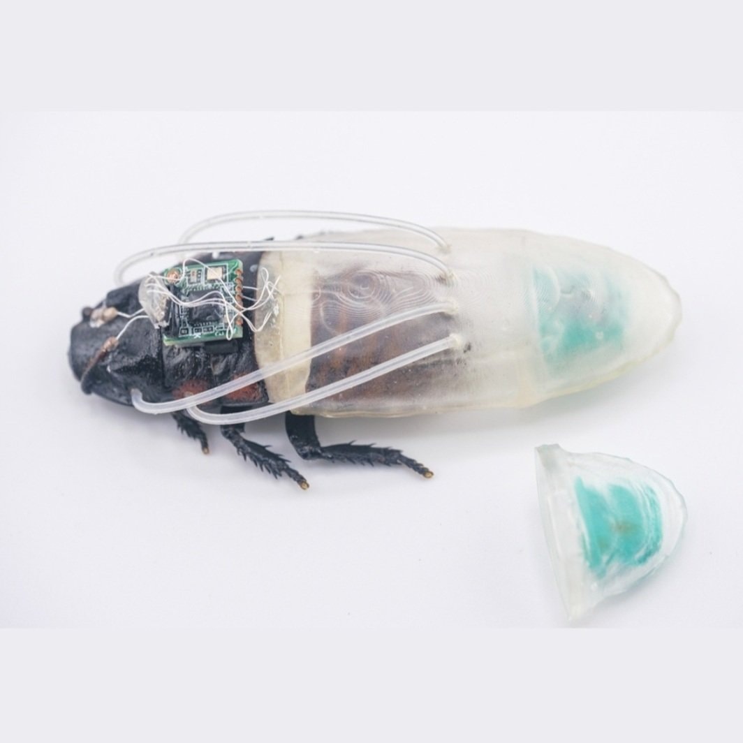 cyborg cockroach diving suit (photo 2 of 2)
