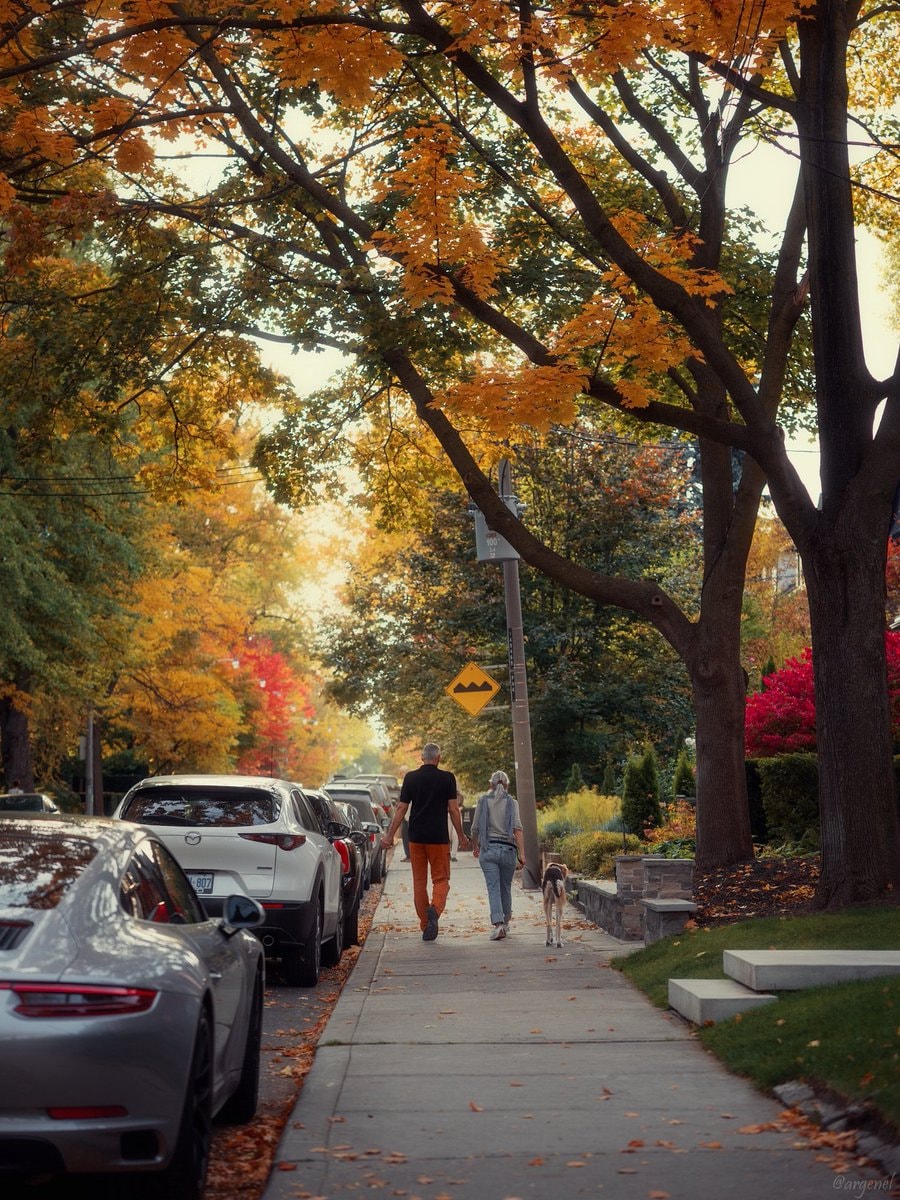 toronto canada (photo 4 of 4)