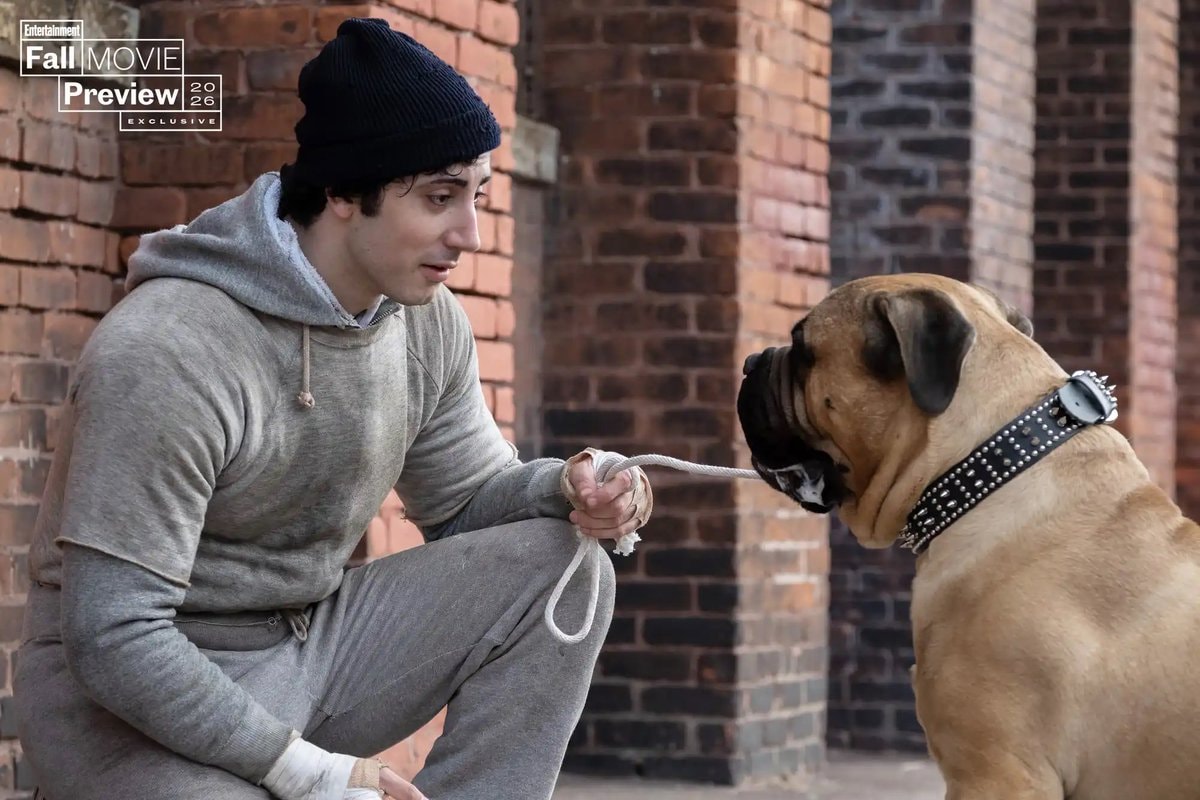 I PLAY ROCKY casting news (photo 2 of 3)