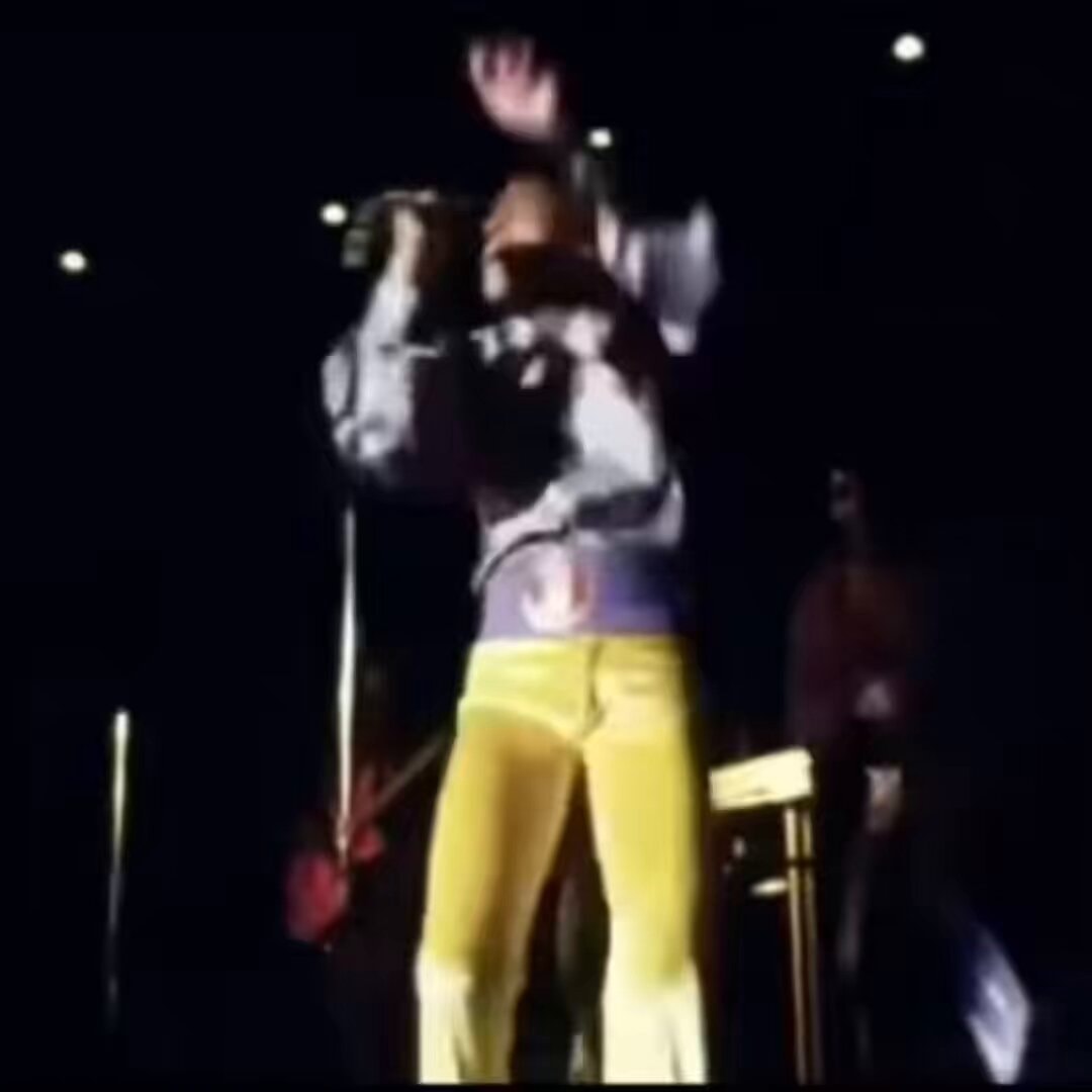 Michael Jackson family concert moment