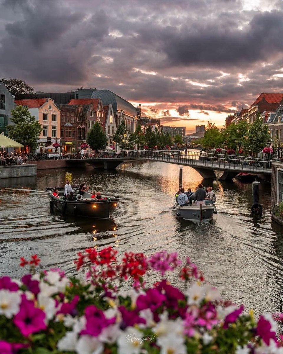 Leiden Netherlands canal (photo 4 of 4)