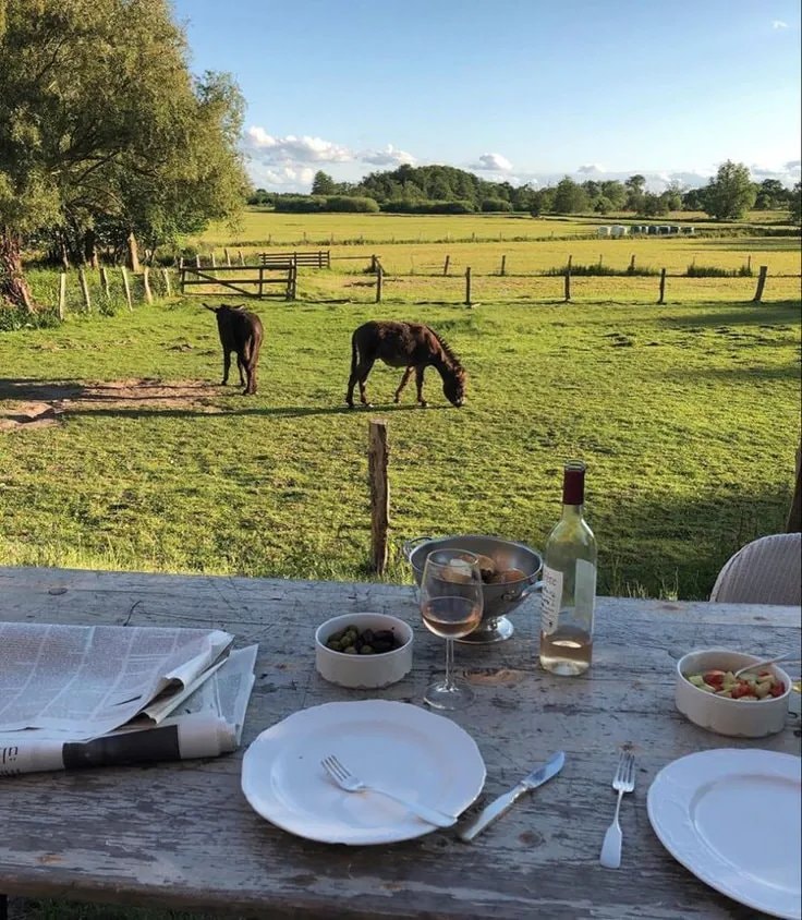 Simple life cozy kitchen view (photo 3 of 4)
