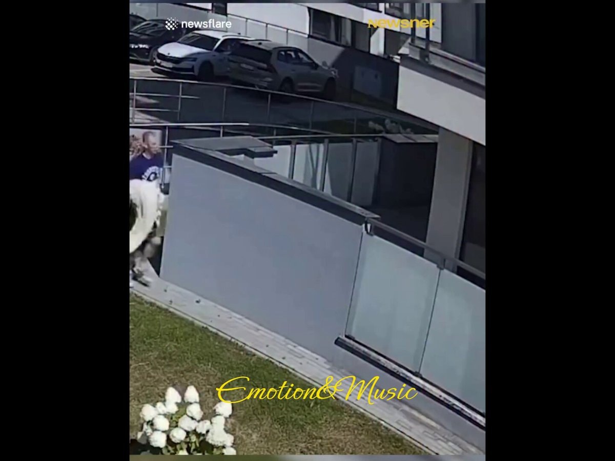 Strangers catch girl in Poland Strangers catch girl in Poland