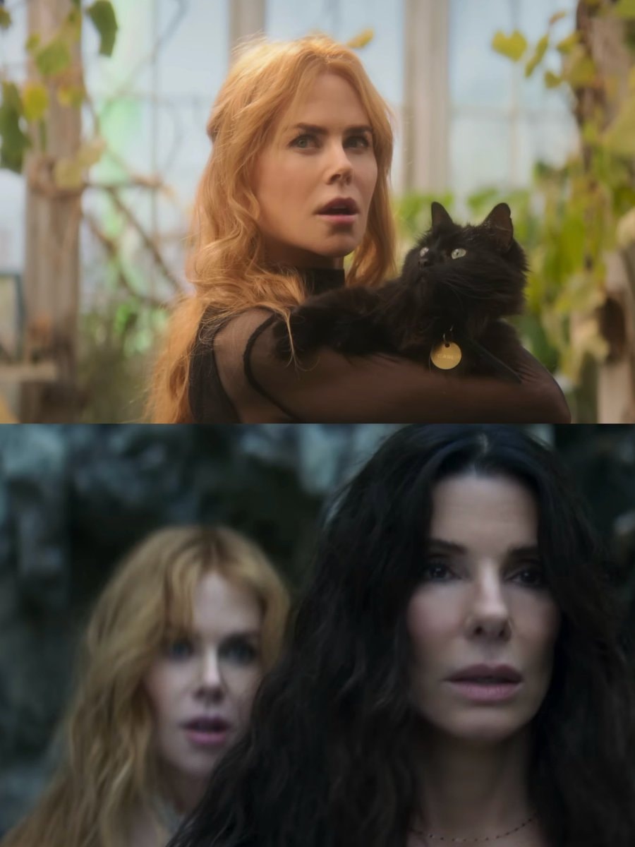 PRACTICAL MAGIC 2 box office preview (photo 2 of 2)