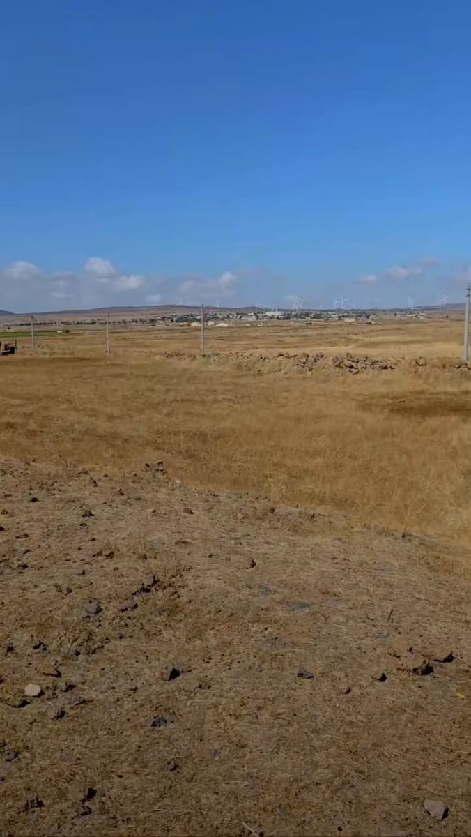 Israel shells Quneitra farmland killing sheep