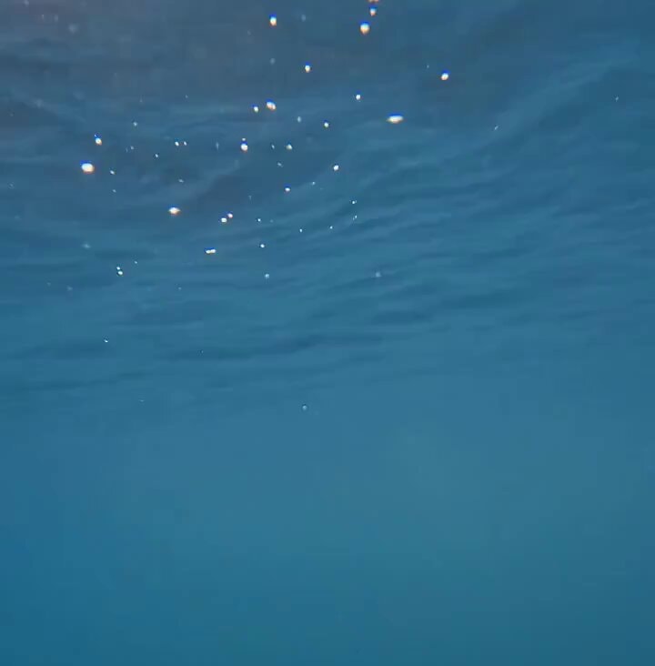 sun rays under the sea