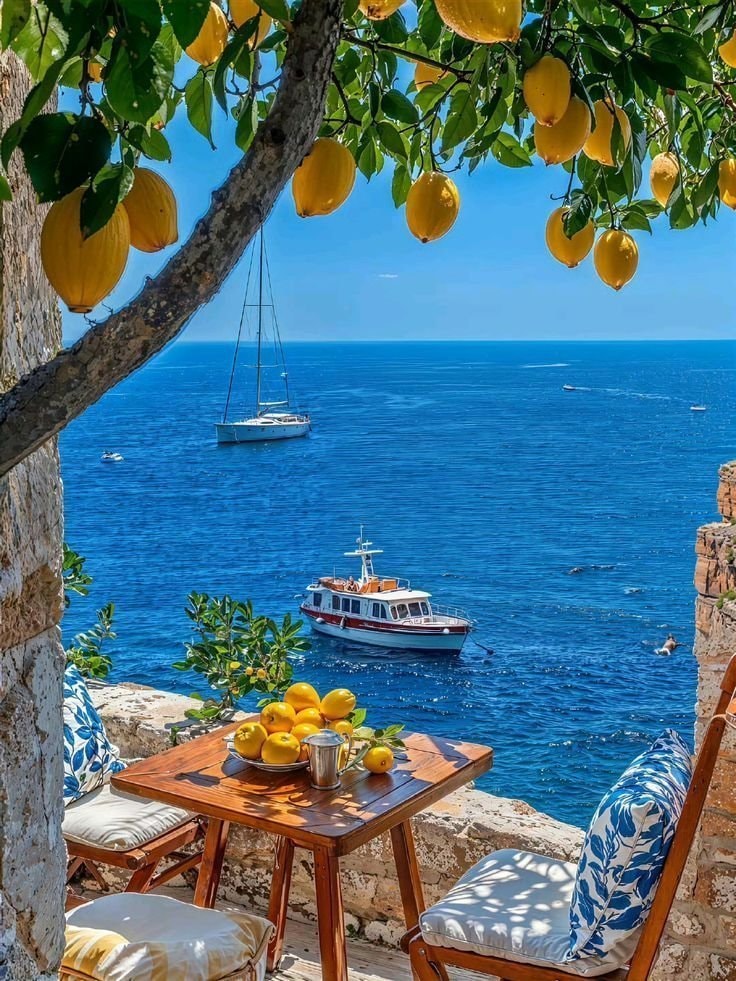 Italy lemon tree ocean view Italy lemon tree ocean view