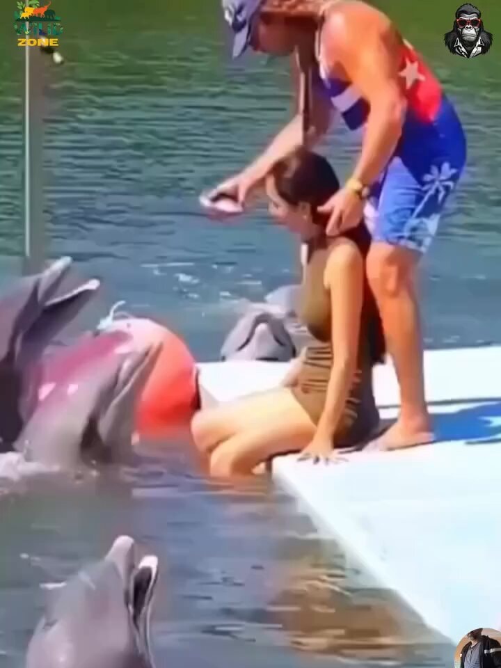 funny camera moments compilation