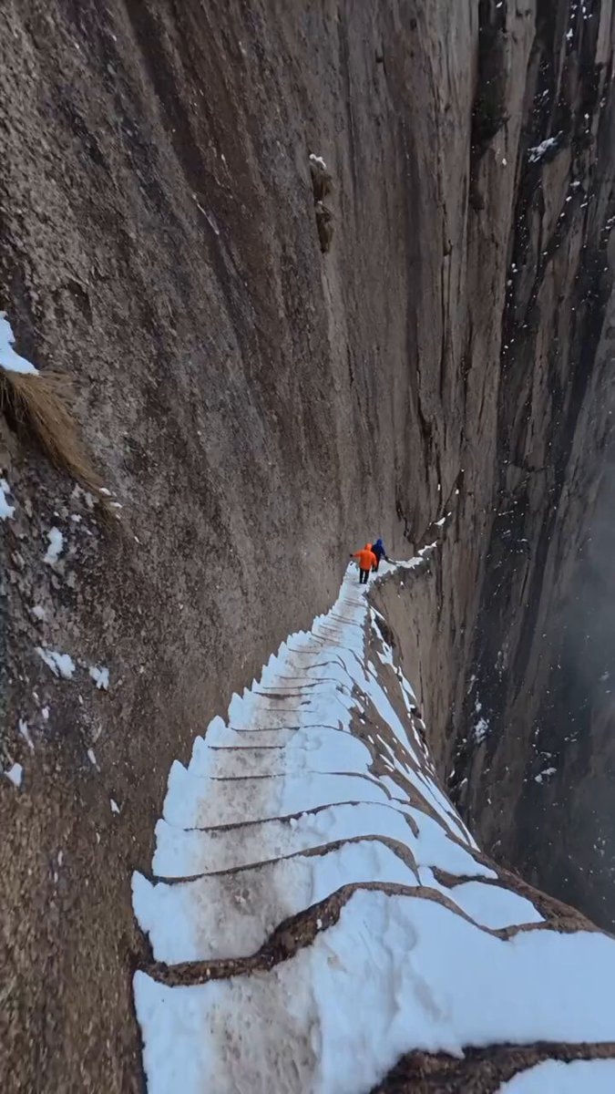 Why we want to jump from high places
