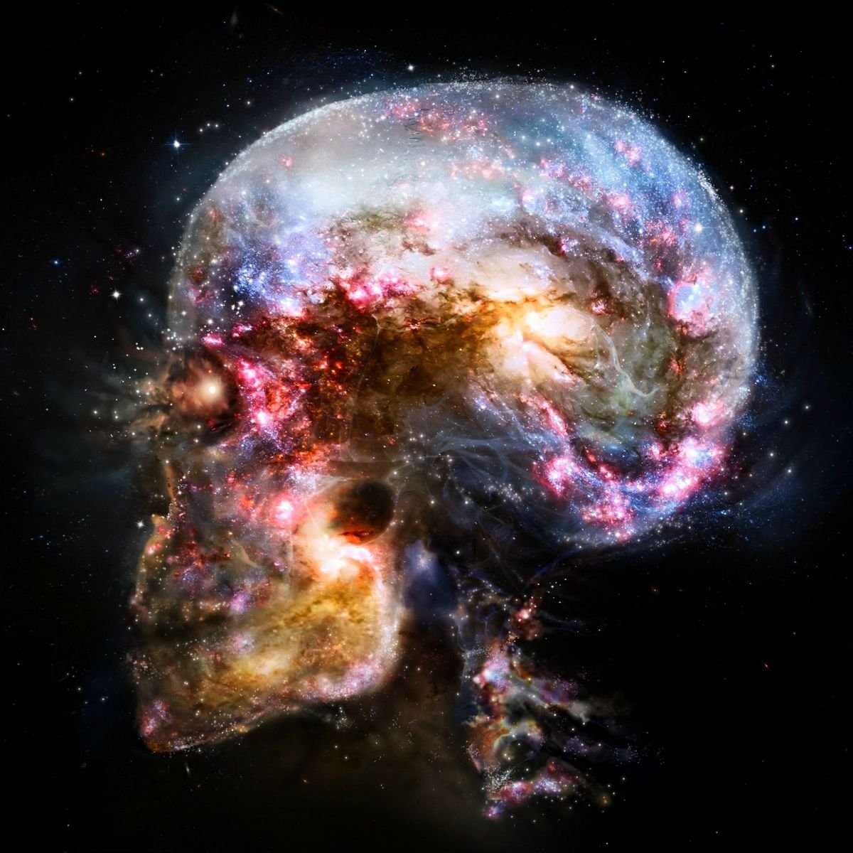 Quantum effects in brain neurons (photo 2 of 2)