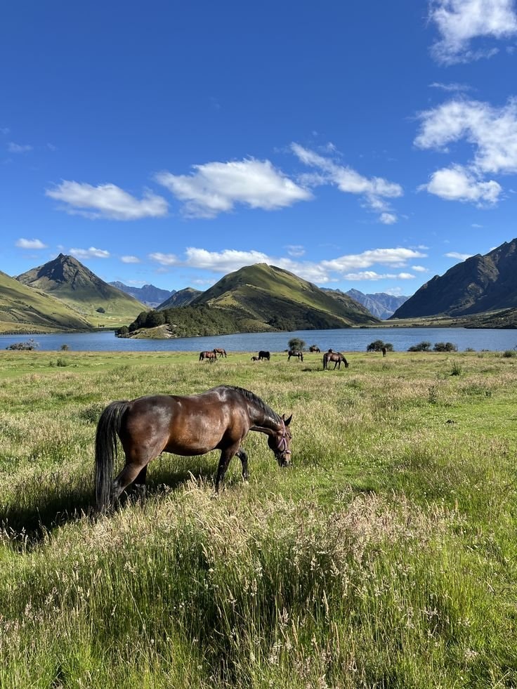 Queenstown New Zealand scenery (photo 1 of 4)