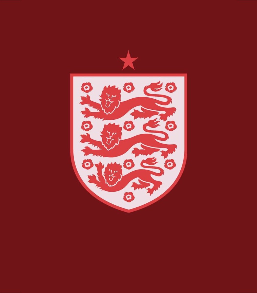 Jordan Henderson World Cup injury (photo 2 of 2)