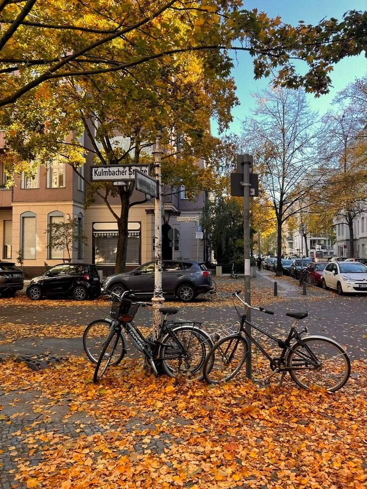autumn in Paris (photo 2 of 4)