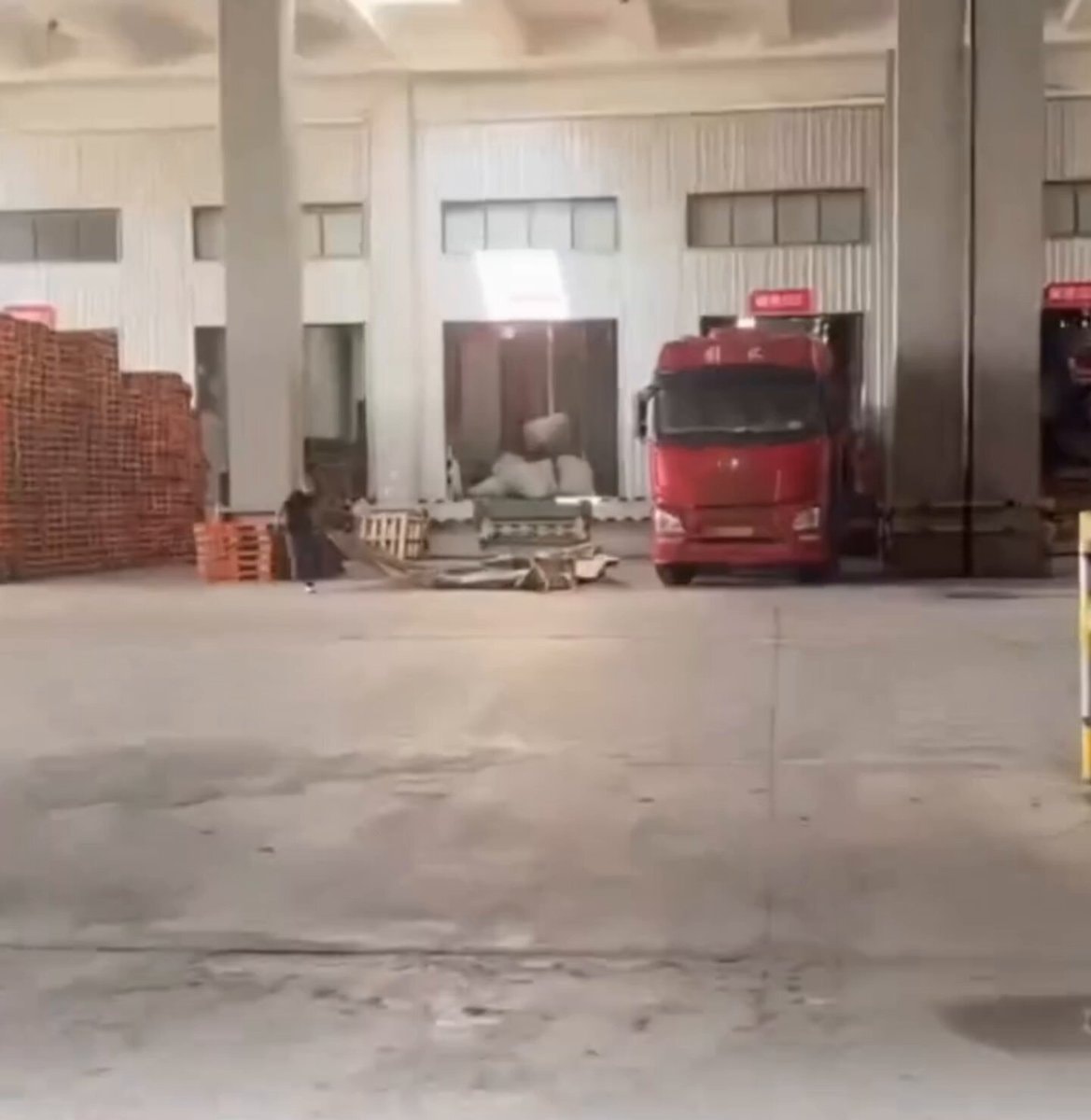 Truck driver's dog on the road