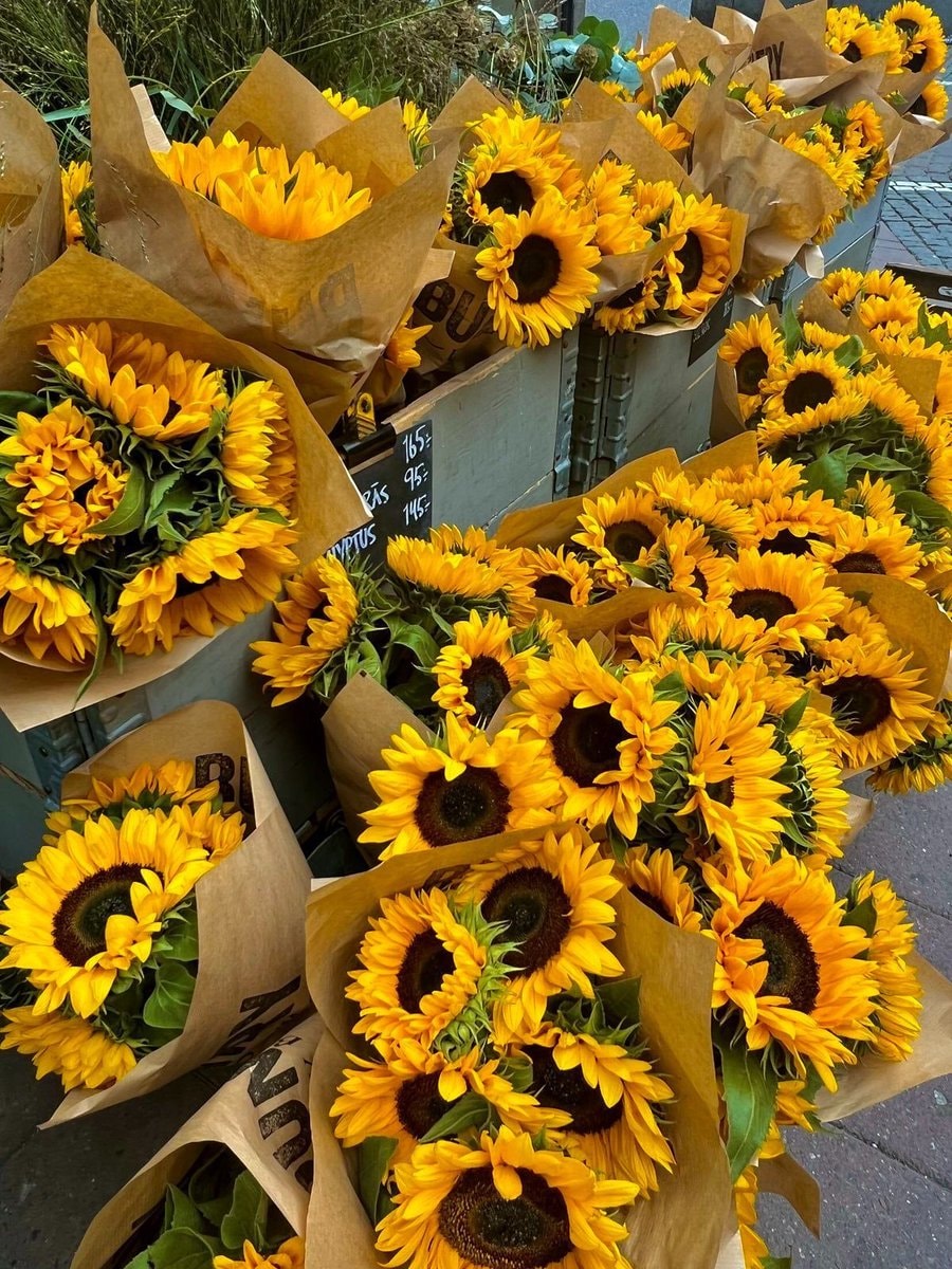 Sunflowers wrapped in brown paper